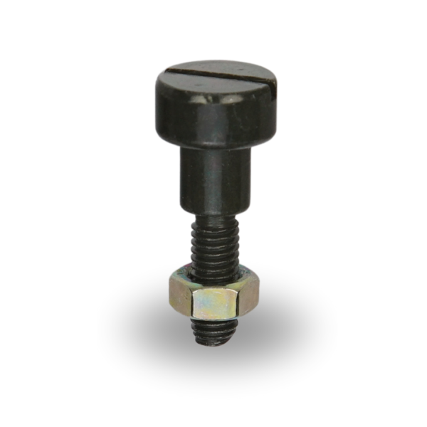 PIZQ Tornillo Manigueta Pulsar Izquierda