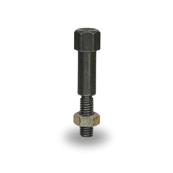 TS Tornillo Manigueta TS